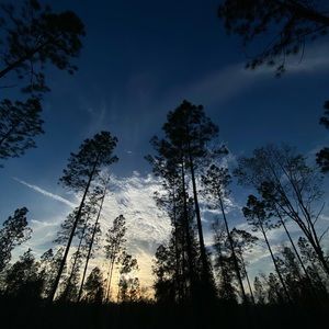 Meet your Posher, Willow